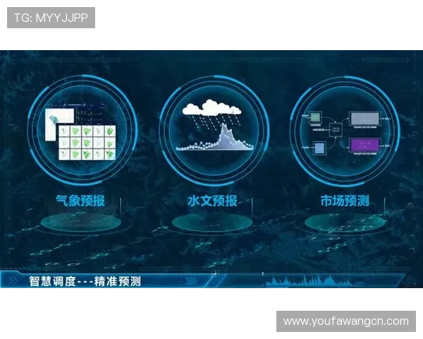 开云网址登录线路性能优化技术与实践经验分享